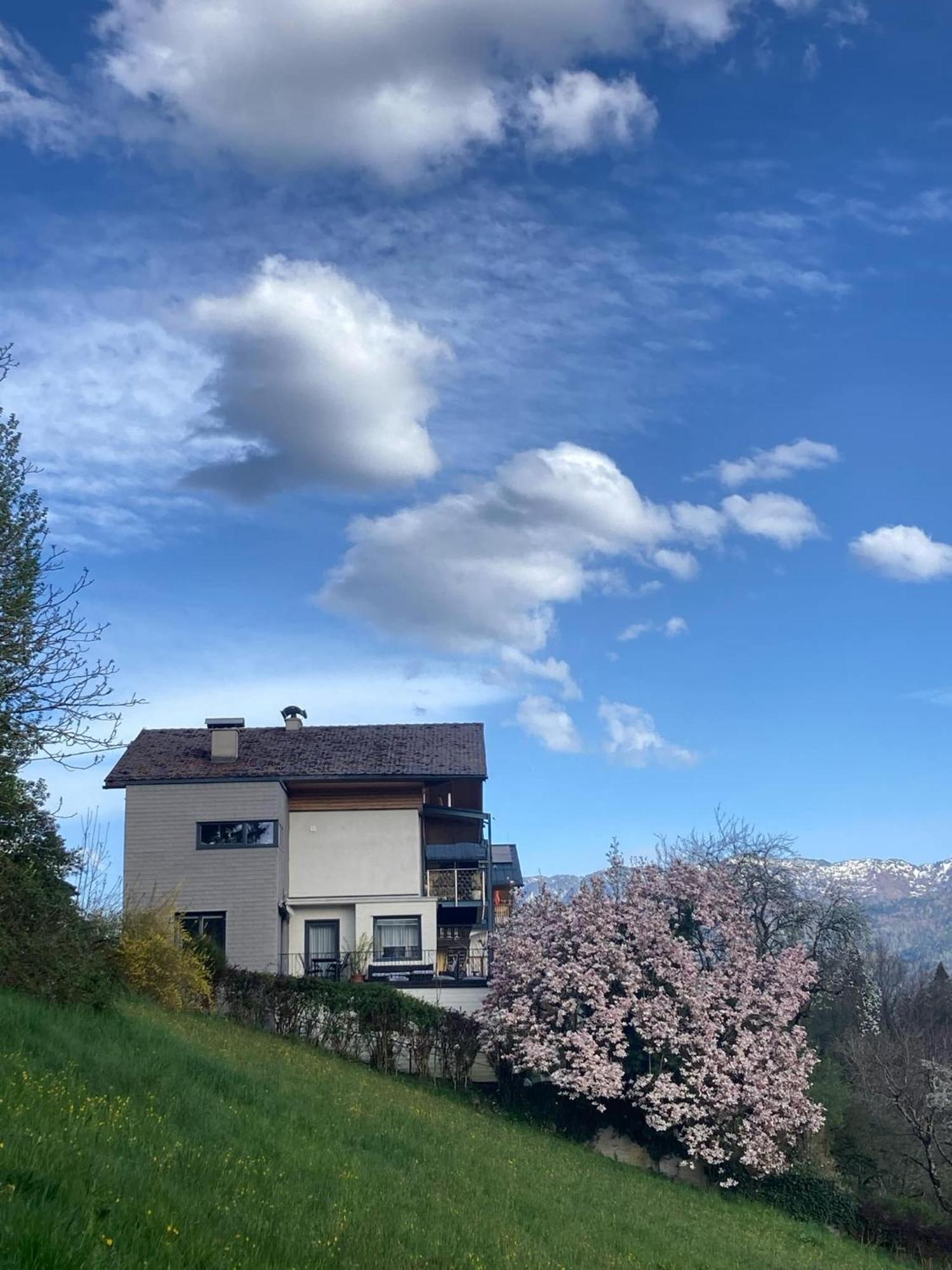 Wolfgangsee Apartment *